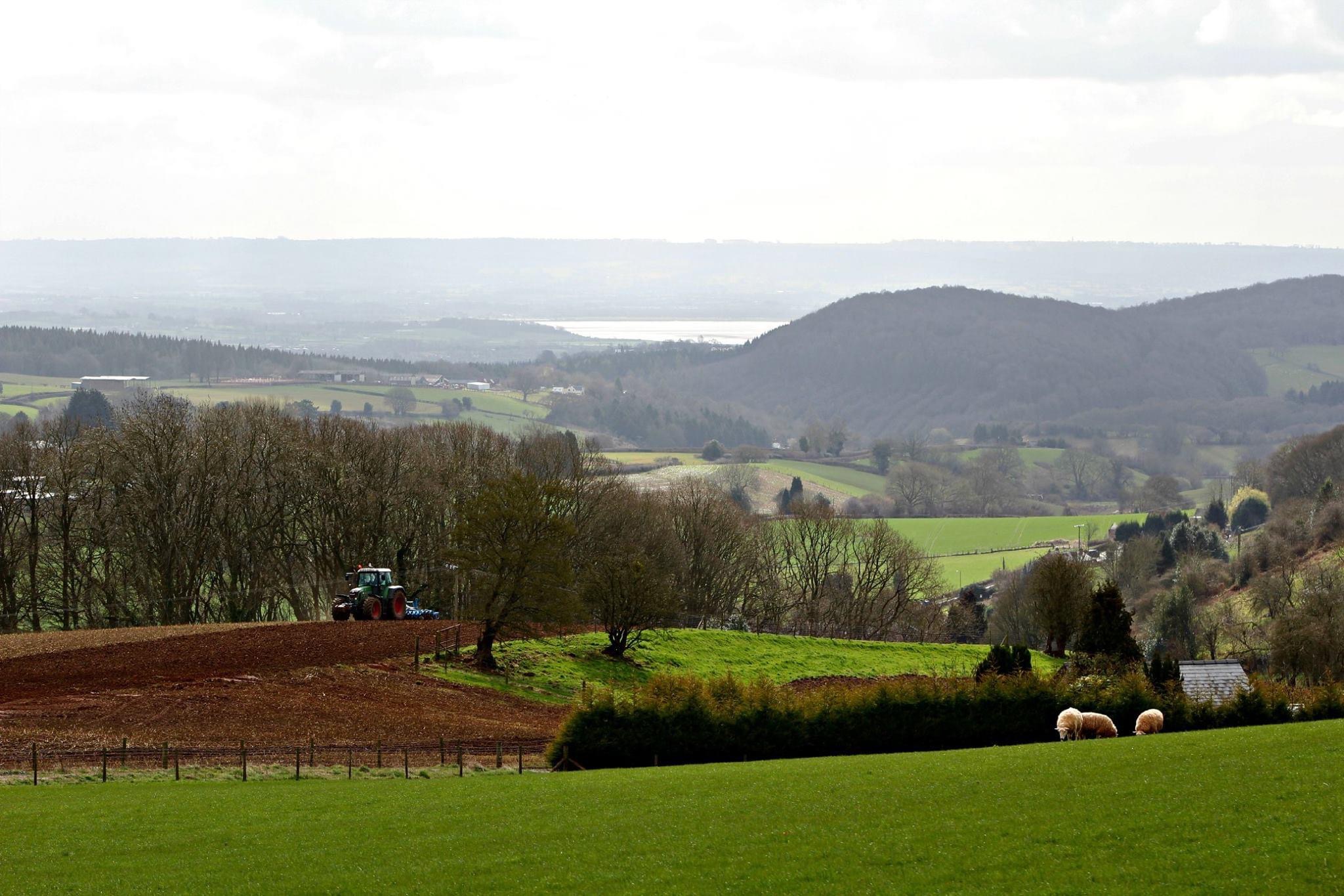Mitcheldean in summer